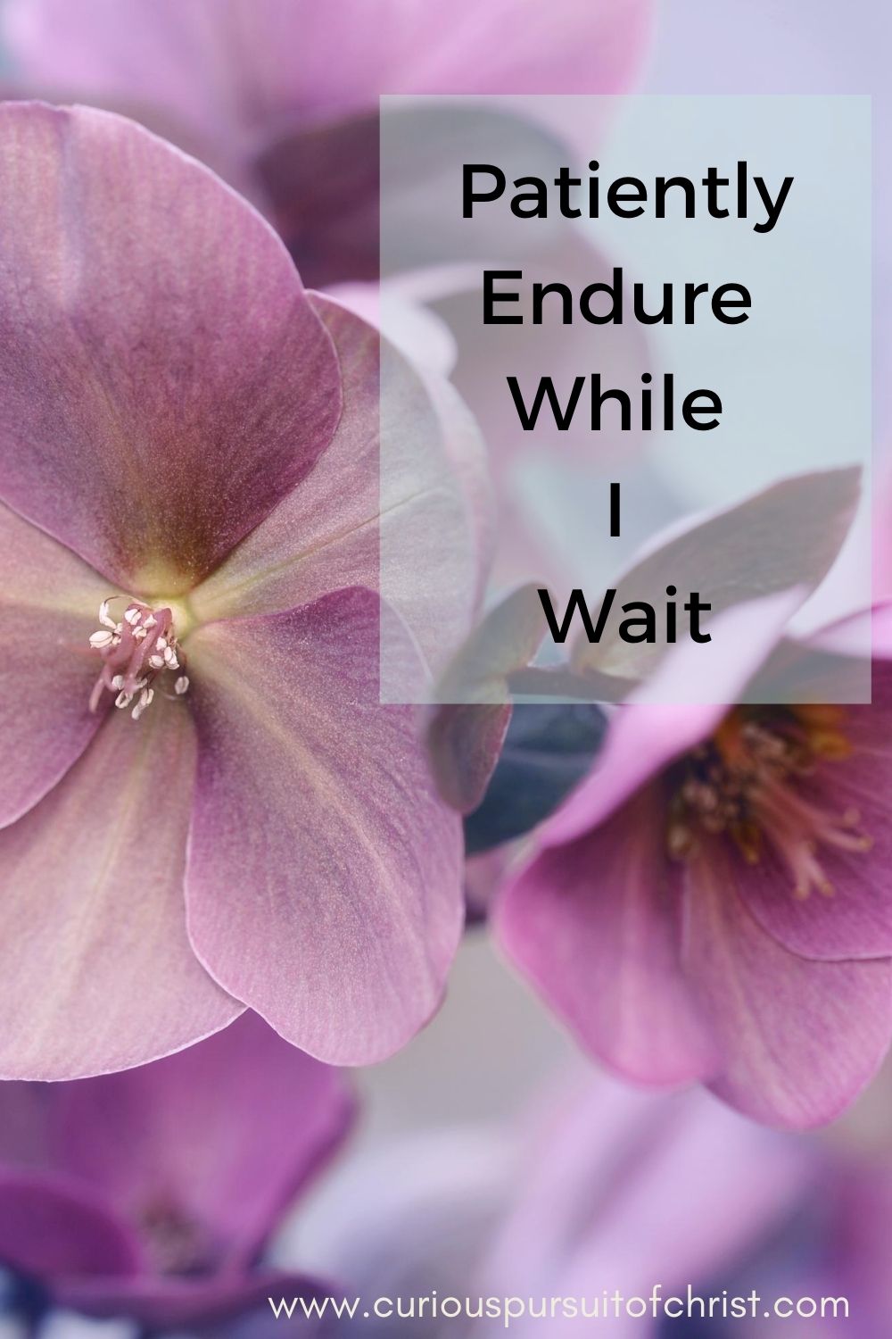 patiently-endure-while-i-wait-curious-pursuit-of-christ